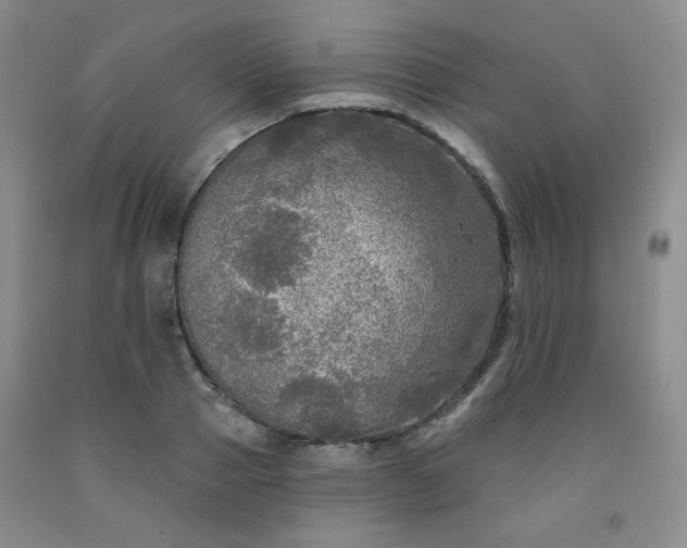 X0000091950937200709201319