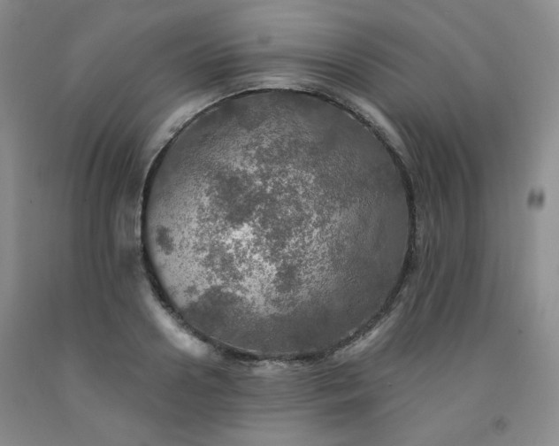 X0000091950938200709201319