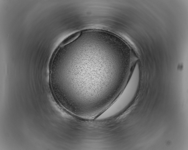 X0000091950940200709201320