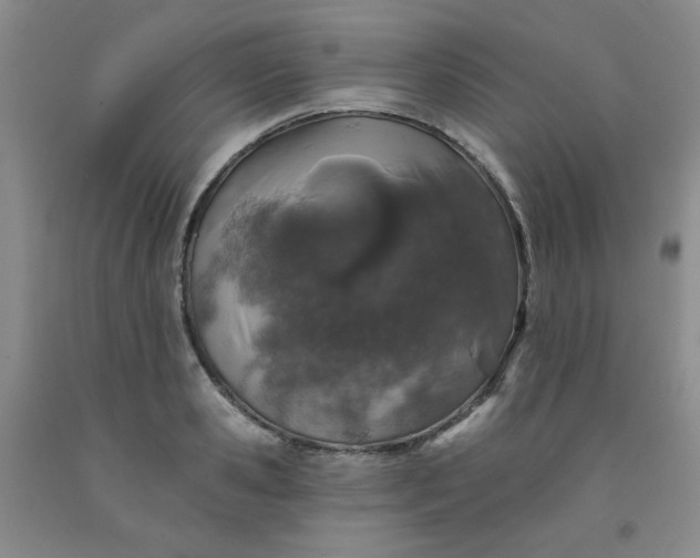 X0000091950941200709201320