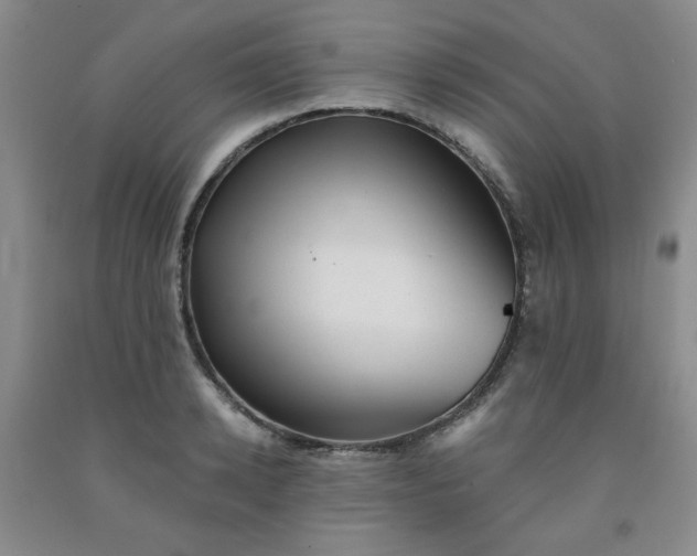 X0000091950942200709201320