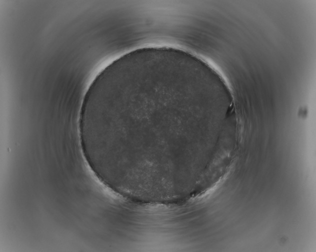 X0000091950943200709201320