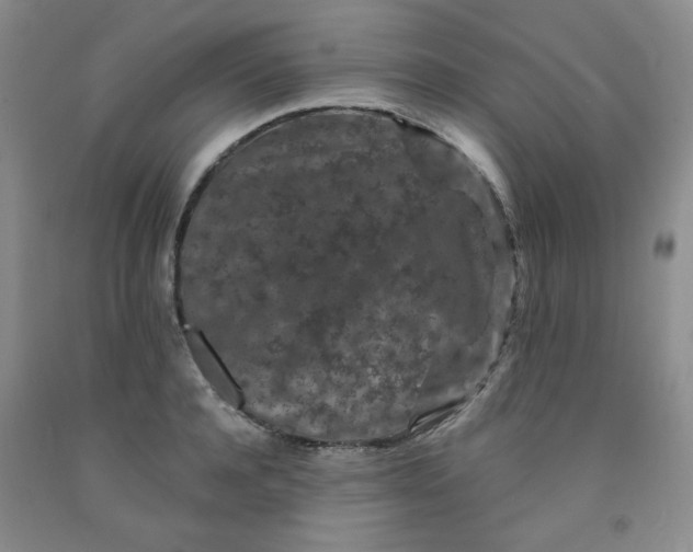 X0000091950944200709201320