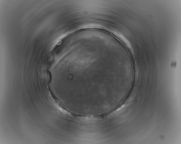 X0000091950945200709201320