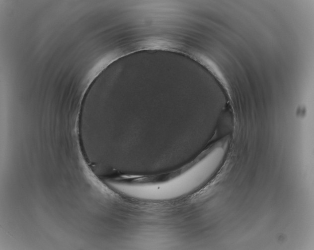 X0000091950946200709201320