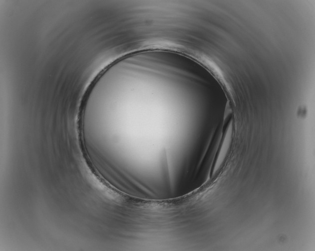 X0000091950947200709201320