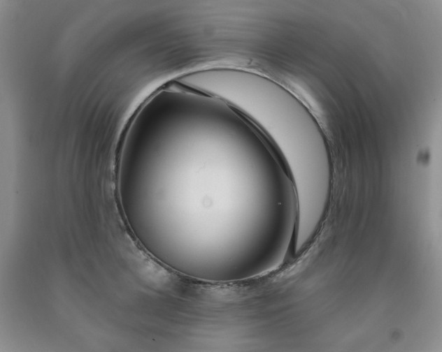 X0000091950948200709201320