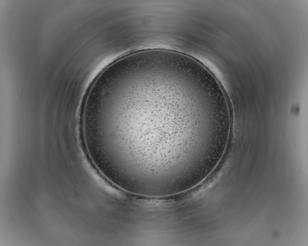 X0000091950949200709201320