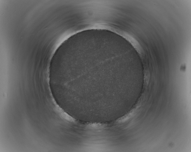 X0000091950950200709201320