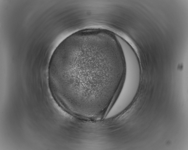 X0000091950951200709201320