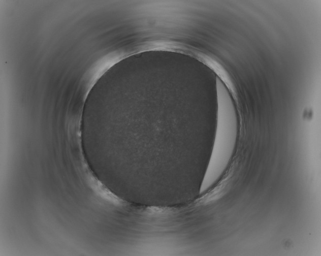 X0000091950954200709201320