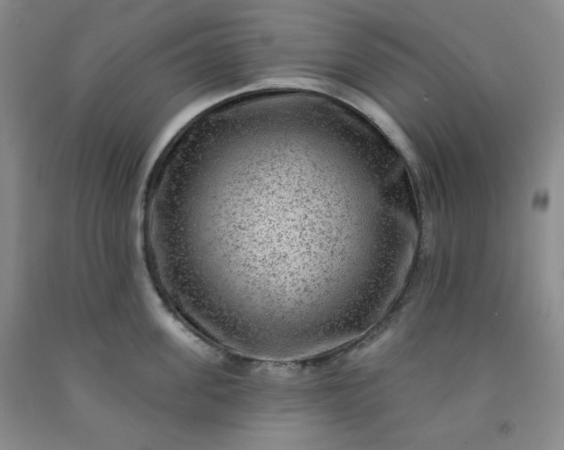 X0000091950955200709201320