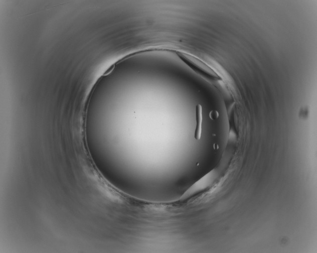 X0000091950956200709201320