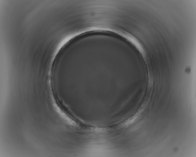 X0000091950958200709201320