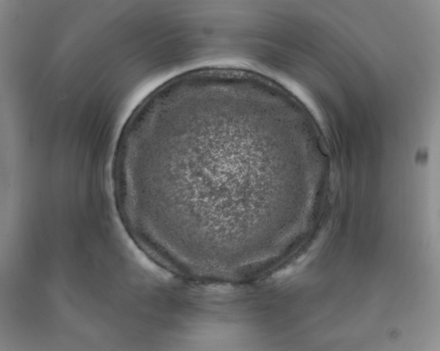 X0000091950959200709201320