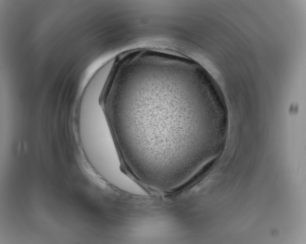 X0000091950960200709201320