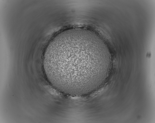 X0000091950961200709201319