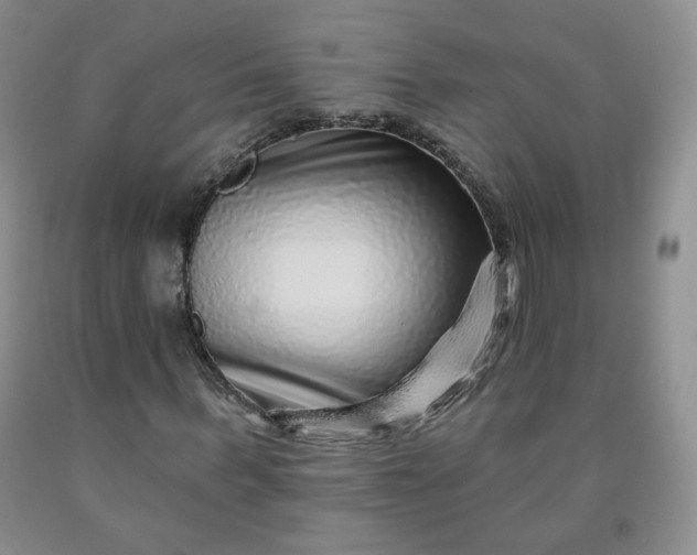 X0000091950963200709201319