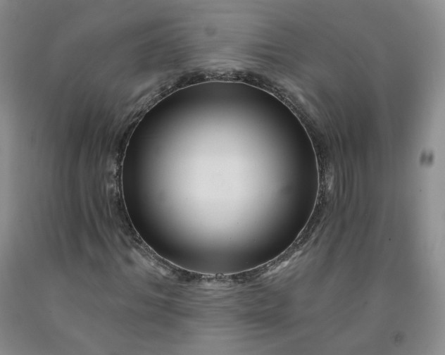 X0000091950964200709201319