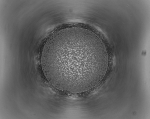 X0000091950965200709201319