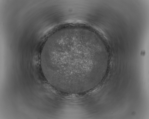 X0000091950966200709201319