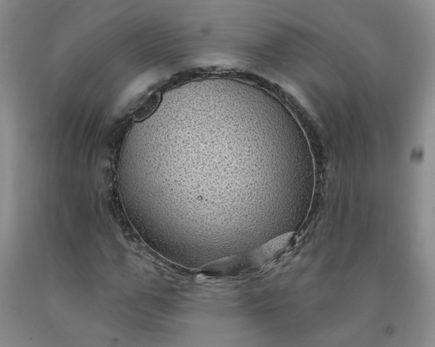 X0000091950967200709201319