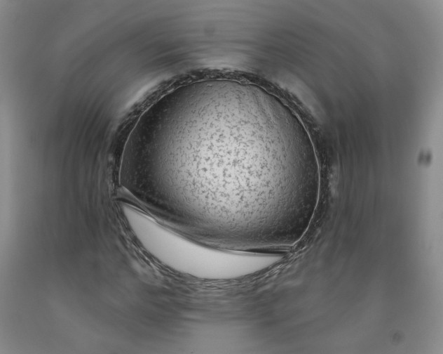 X0000091950968200709201319