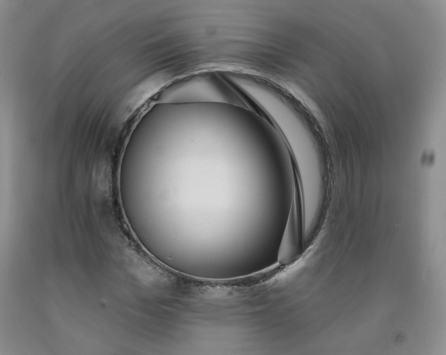 X0000091950969200709201319