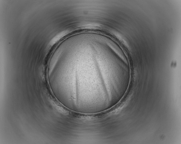 X0000091950970200709201319