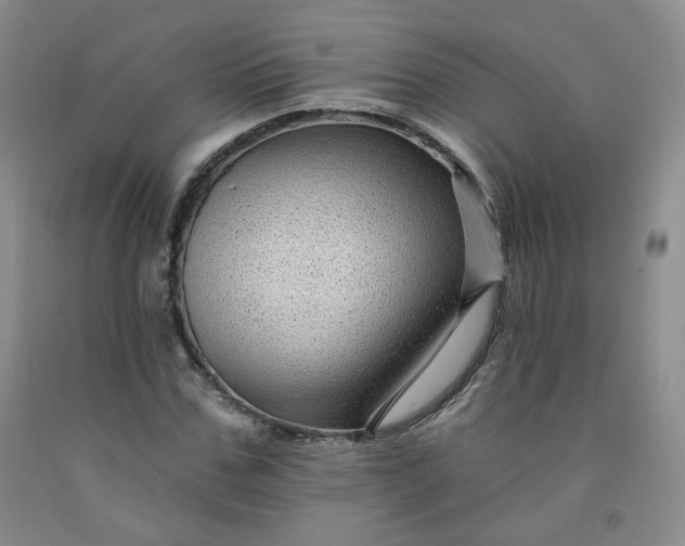 X0000091950971200709201319