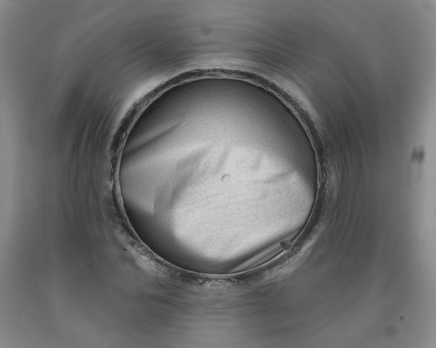 X0000091950974200709201319