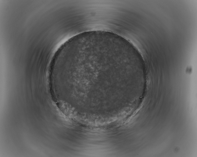 X0000091950975200709201319