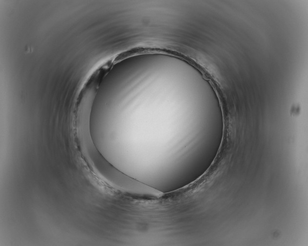 X0000091950976200709201319