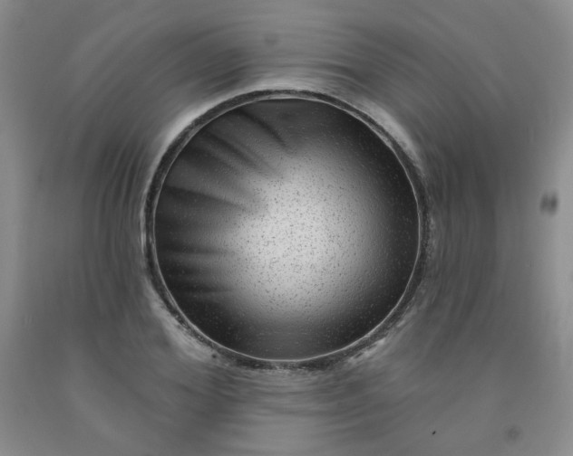 X0000091950980200709201319