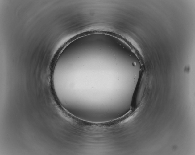 X0000091950981200709201319