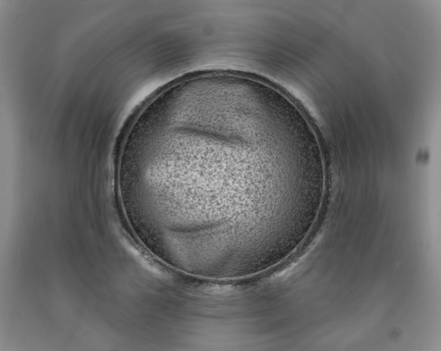 X0000091950982200709201319