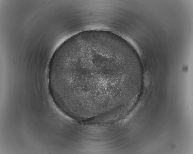 X0000091950983200709201319