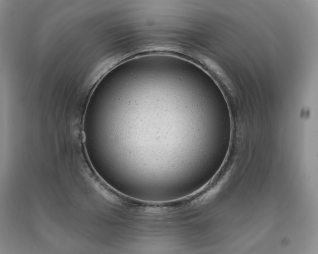 X0000091950985200709201319