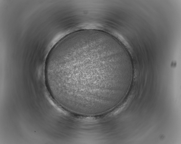 X0000091950986200709201319