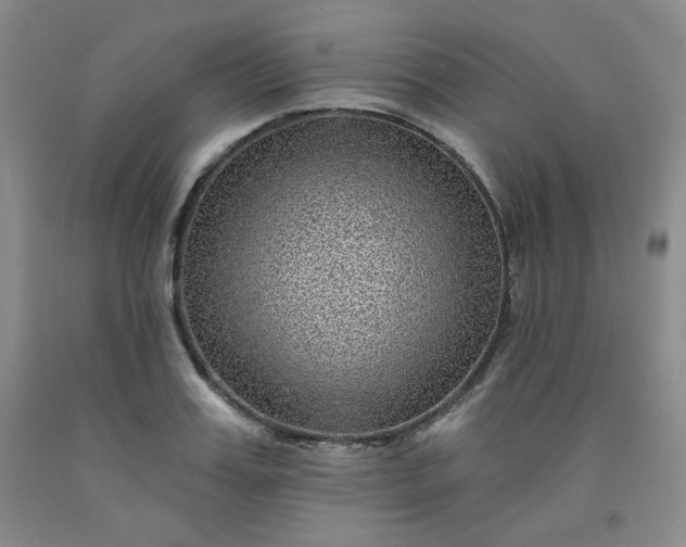 X0000091950987200709201319