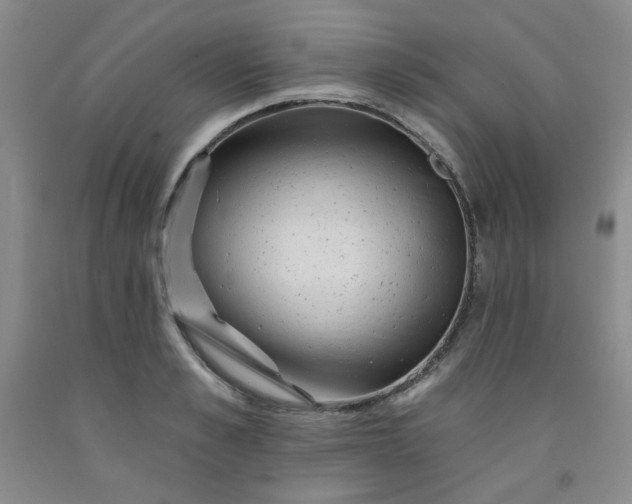 X0000091950989200709201319