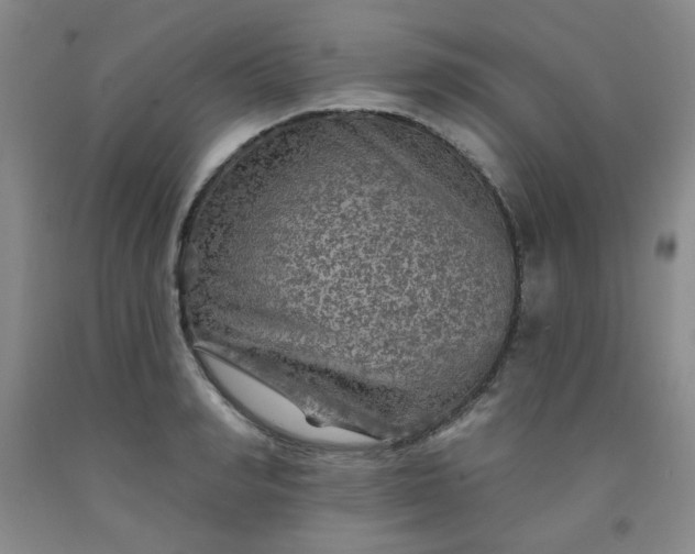 X0000091950990200709201319