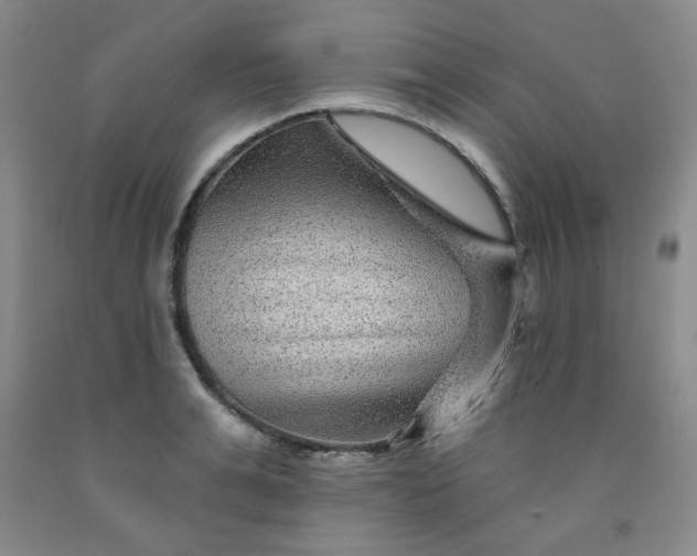 X0000091950991200709201319