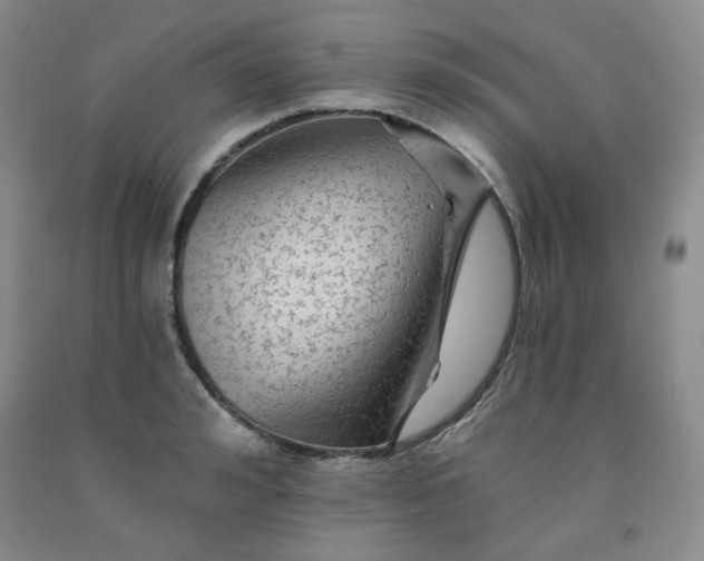 X0000091950992200709201319