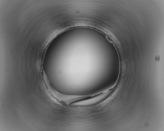 X0000091950993200709201319