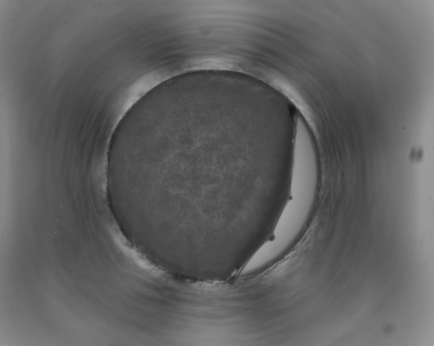 X0000091950994200709201319