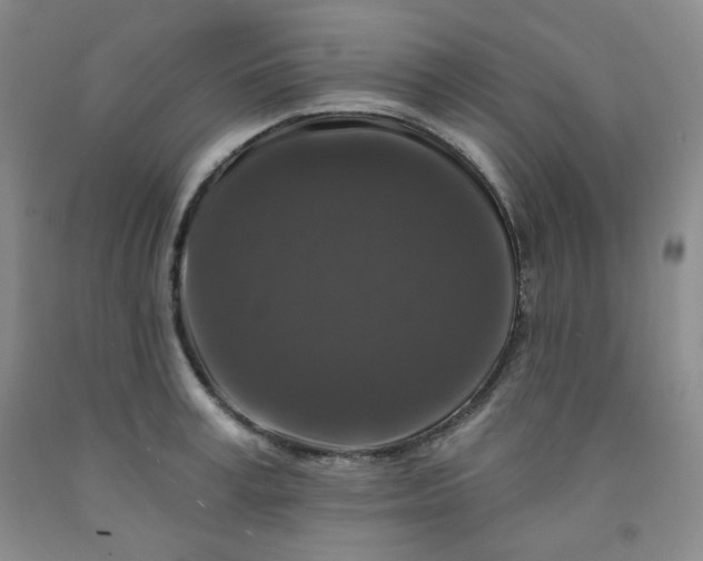 X0000091950995200709201319