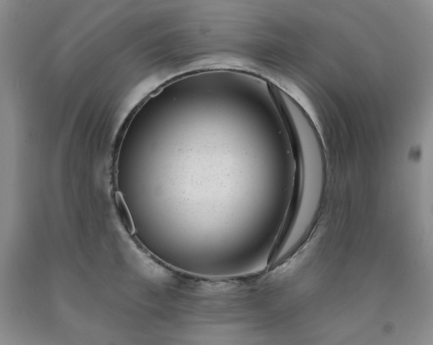 X0000091950997200709201319