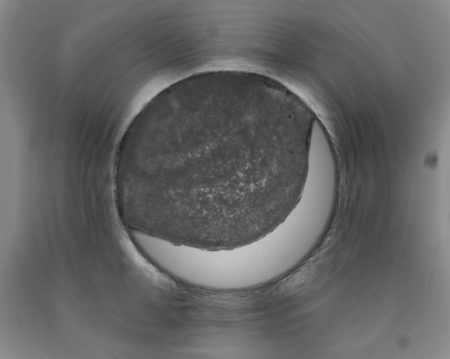 X0000091950998200709201319