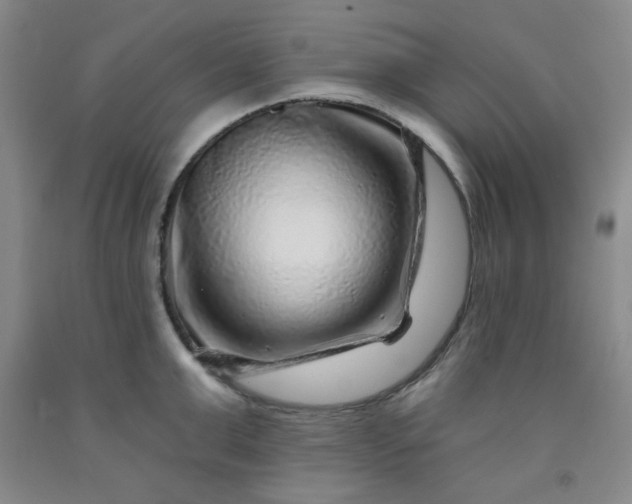 X0000091950999200709201319